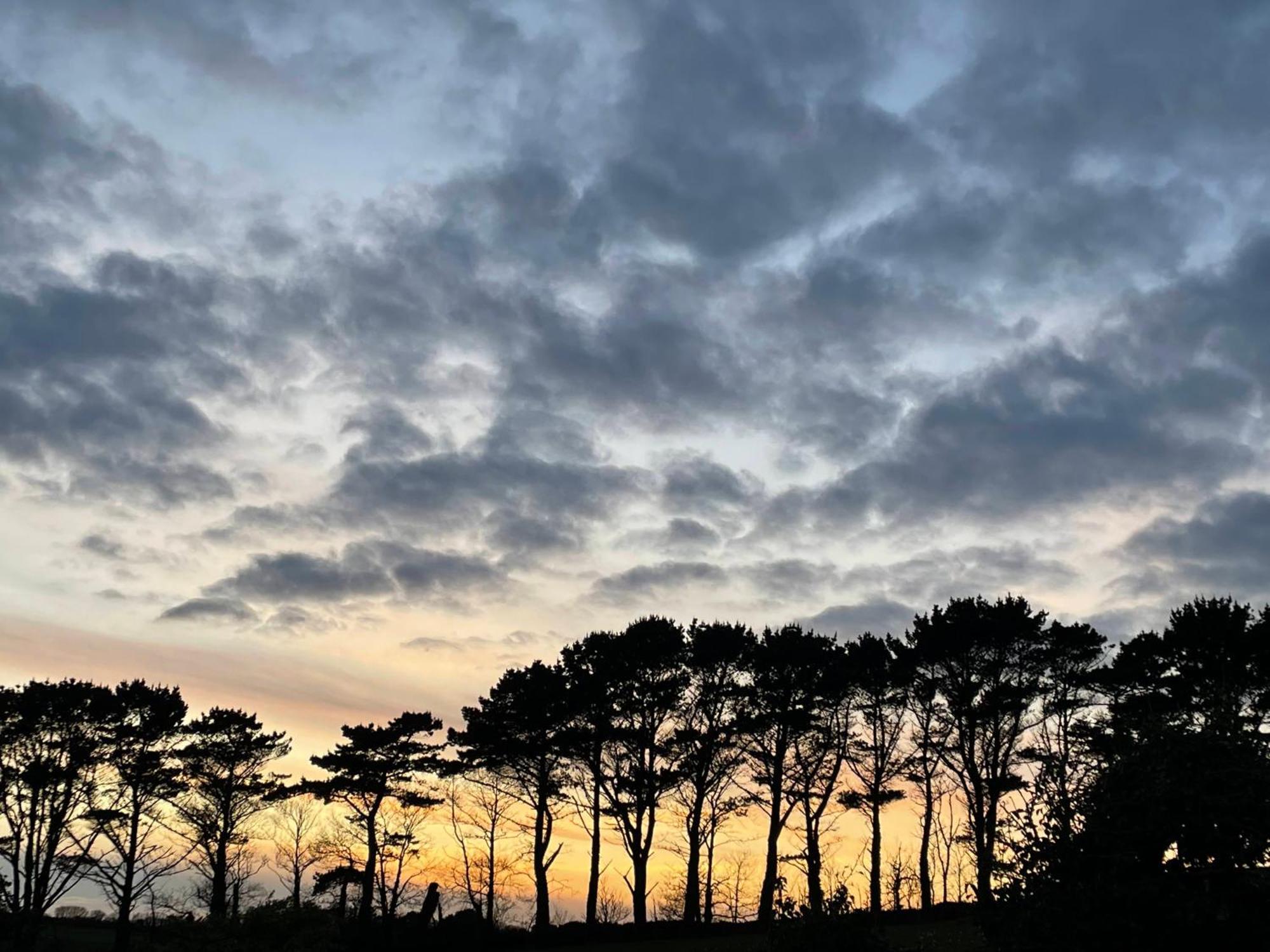 Fowey River Views المظهر الخارجي الصورة